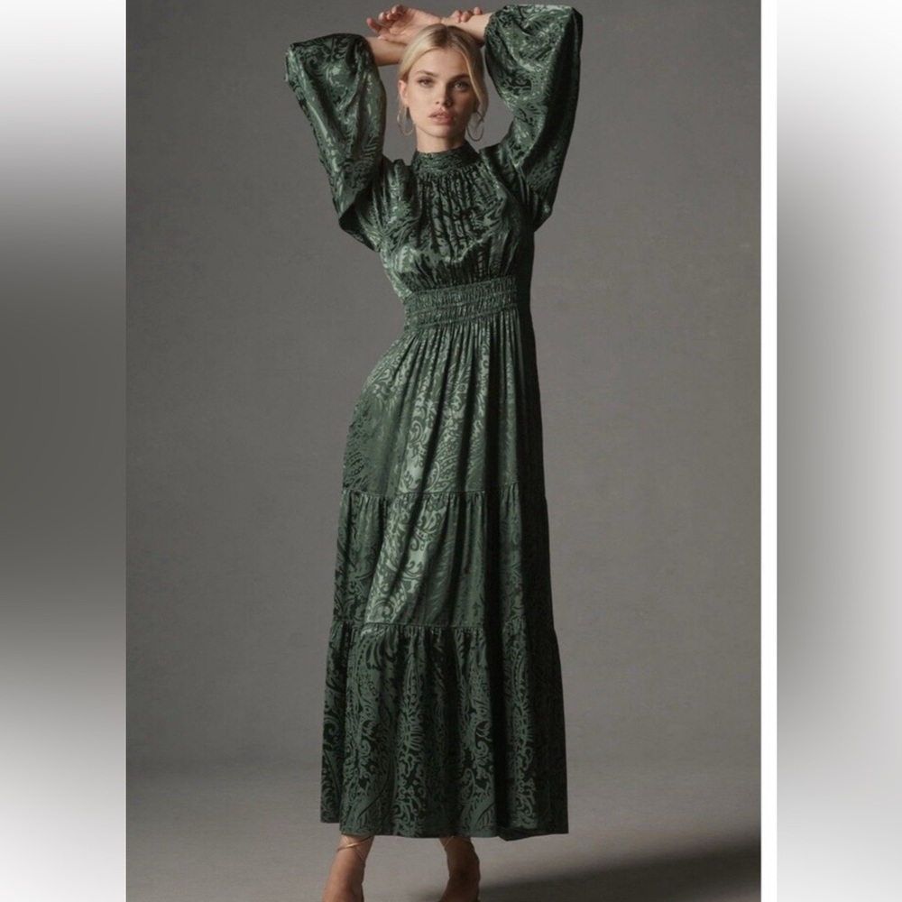 Anthropologie Maxi Mock Neck Elegant Chiffon Somerset Dress Size Small